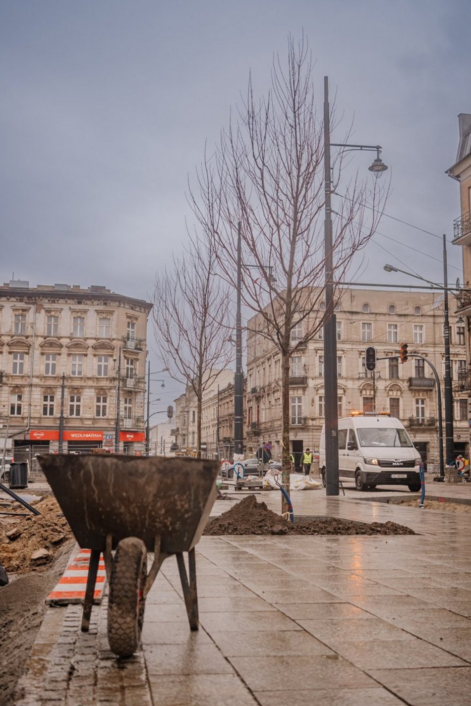 Sadzenie drzew na ul. Legionów przy placu Wolności