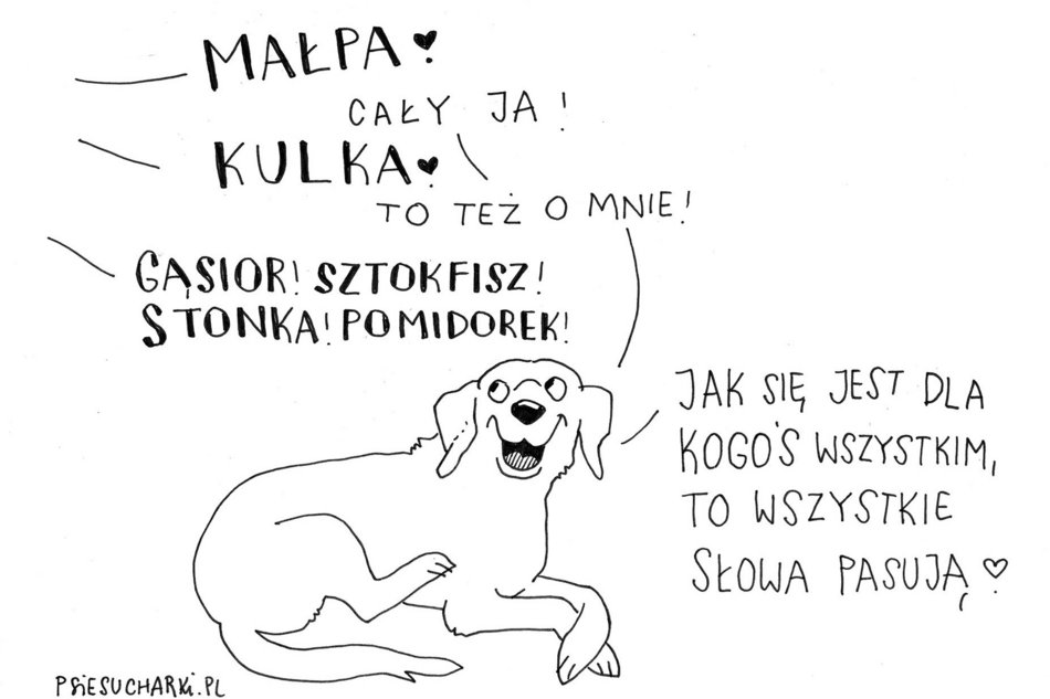 Łódź. Wydarzenia na weekend