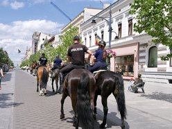 Widowiskowy turniej Sekcji Konnej Straży Miejskiej w Łodzi