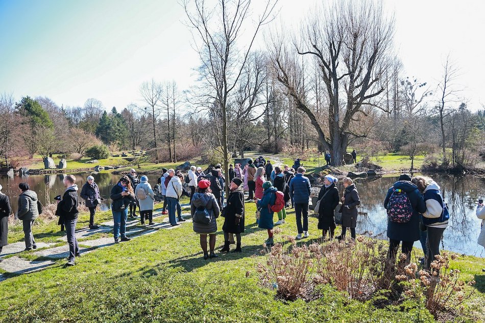 Łódź. W Ogrodzie Botanicznym wiosna w pełni! Przebiśniegi i krokusy zachwycają
