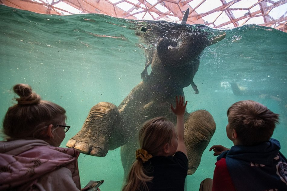 Młodzieżowe słowo roku po łódzku