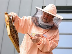 warsztaty z pszczelarstwa