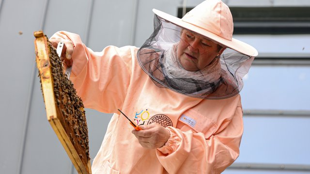 Naucz się pszczelarstwa w Łodzi! Zapisz się na bezpłatne warsztaty [SZCZEGÓŁY]