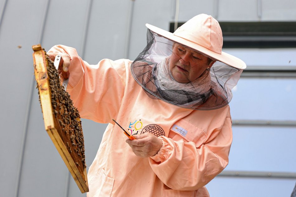 warsztaty z pszczelarstwa