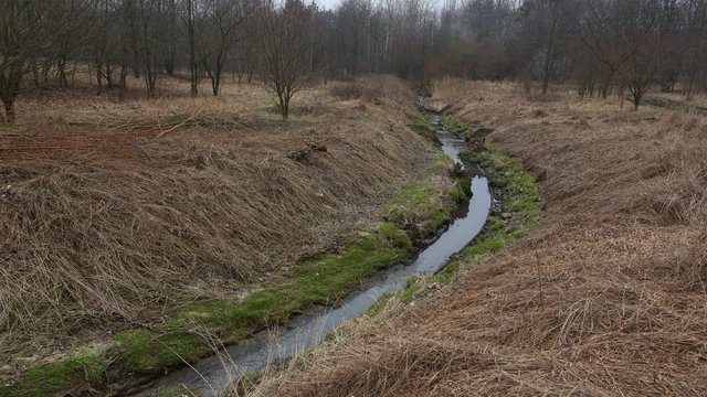 Łódź chroni rzeki. Powstaną plany miejscowe dla dolin Augustówki i Olechówki [SZCZEGÓŁY]