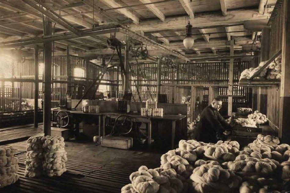 Gotowe motki przędzy