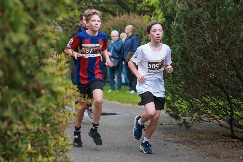 Łódź. Botaniczna Piątka. Setki łodzian pobiegły w Ogrodzie Botanicznym w Łodzi