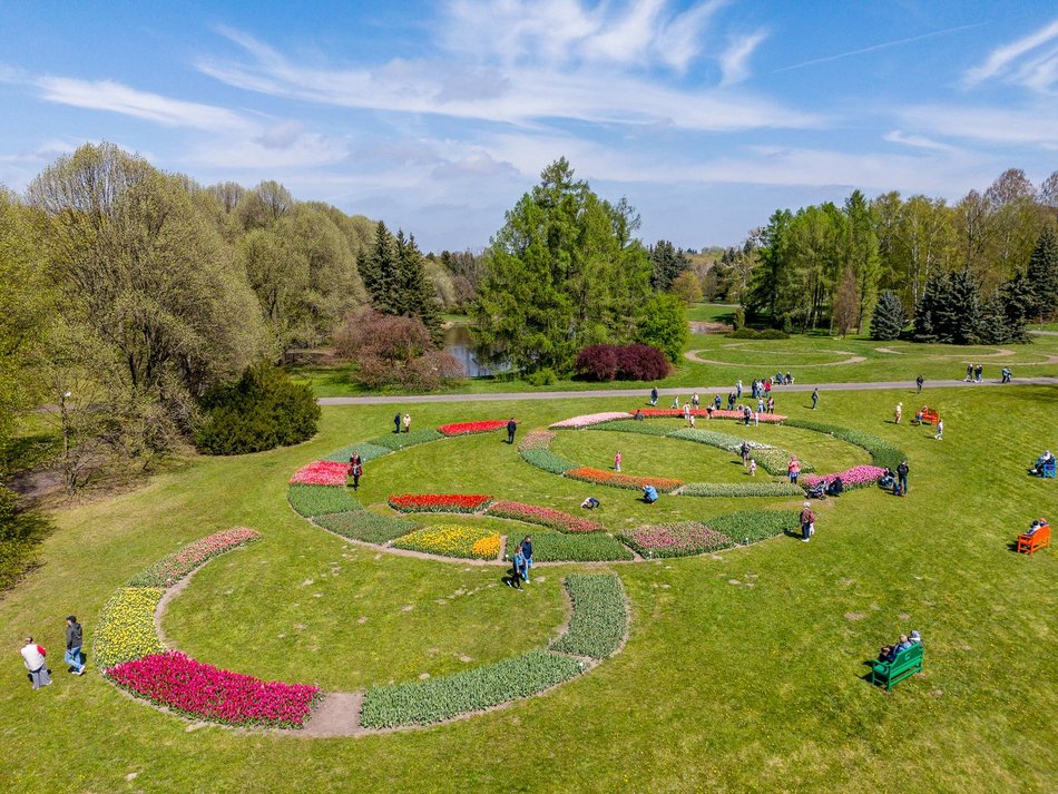 Łódź. Tysiące tulipanów w Ogrodzie Botanicznym w Łodzi. Przyjdź i zobacz je na własne oczy!