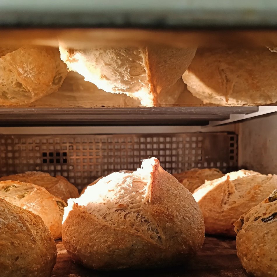 Łódź. Najlepsze piekarnie. Oceny w Google nie pozostawiają wątpliwości!