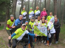 nordic walking