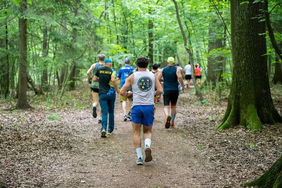 Łódź. Parkrun w Lesie Łagiewnickim w Łodzi. Brałeś udział w biegu? Znajdź się na zdjęciach!