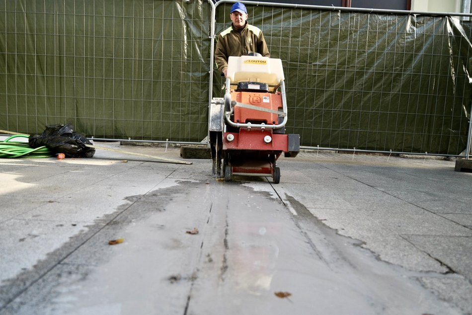 Nowe drzewa na Piotrkowskiej w Łodzi od placu Wolności