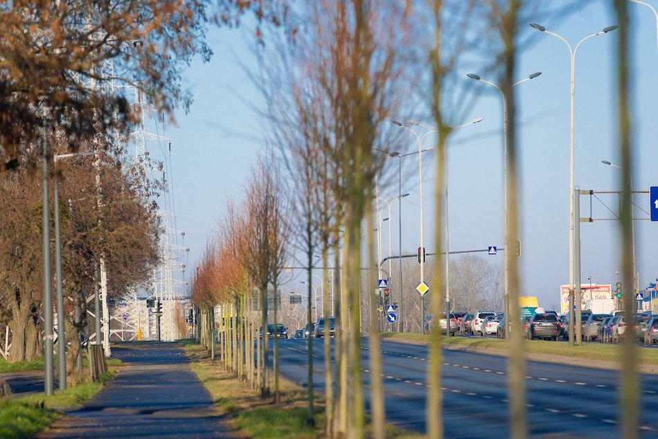Łódź. Zielona metamorfoza Włókniarzy