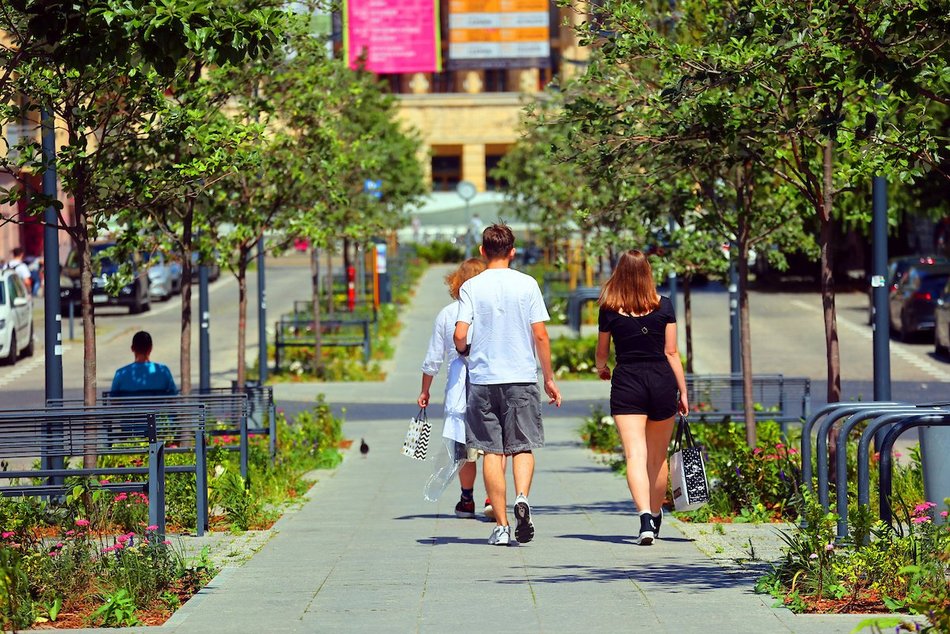 Łódź. Knychalskiego w Łodzi cała w zieleni! Nowe drzewa, kwiaty i rabaty