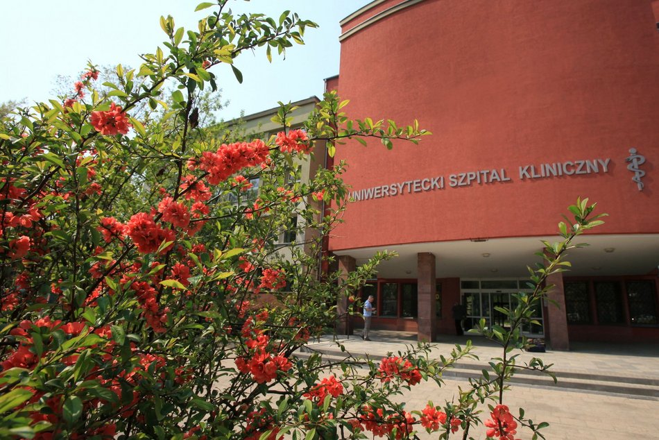 Inwestycja przy placu Hallera w Łodzi za 4 mln złotych. Posłuży studentom w nauce hydroterapii