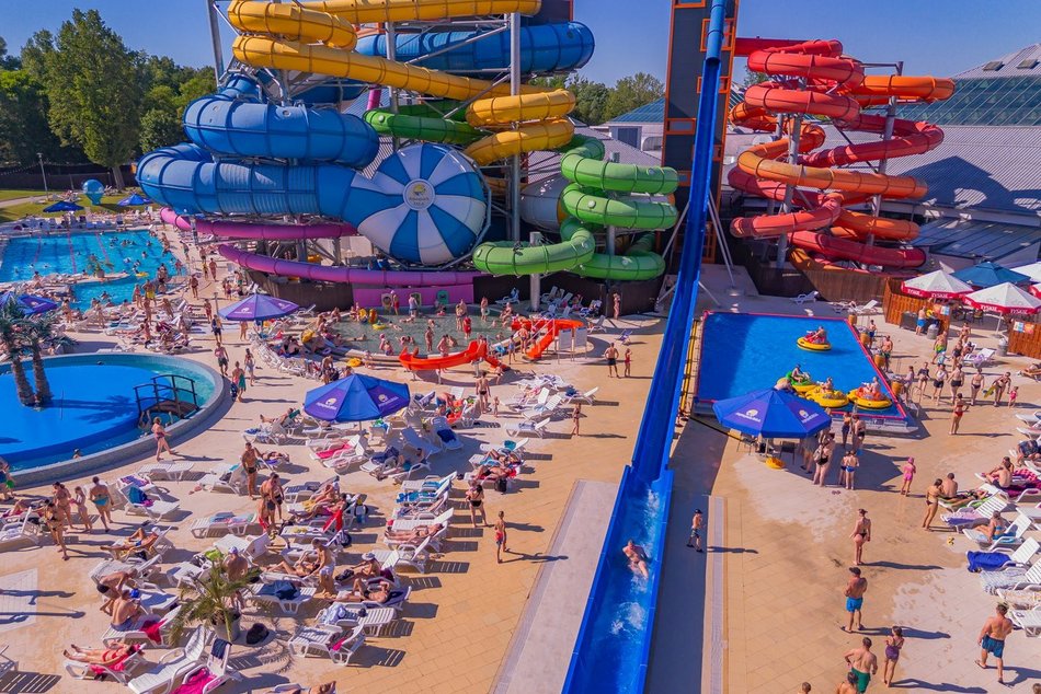 Co robić w weekend w Łodzi? Gastro dla schroniska, egipskie wakacje na Fali i więcej