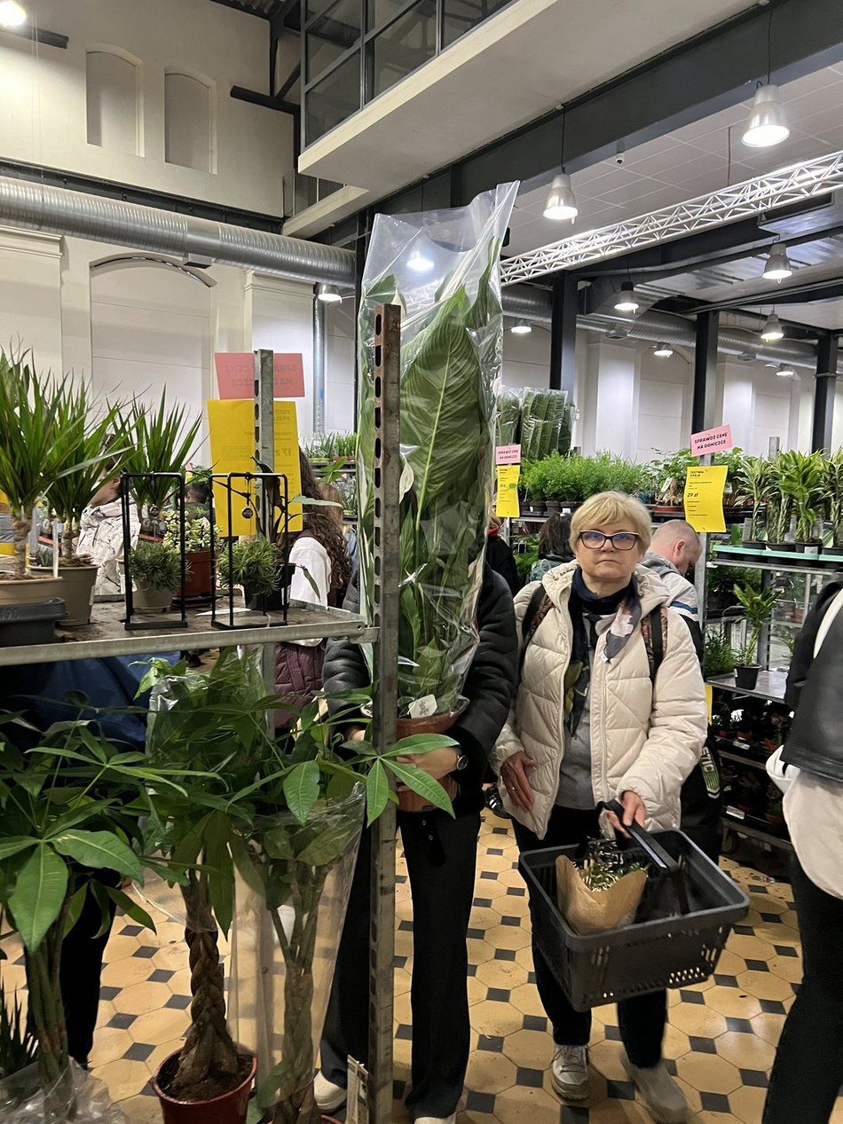 Festiwal Roślin w EC1 Łódź