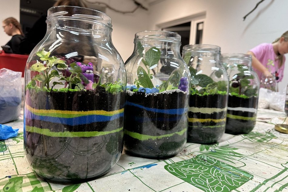 Łódź. Warsztaty w Ogrodzie Botanicznym w Łodzi