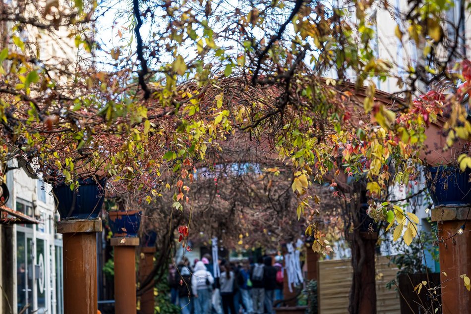 Najpiękniejsze jesienne podwórko w Łodzi? Zajrzyj na Piotrkowską 67!