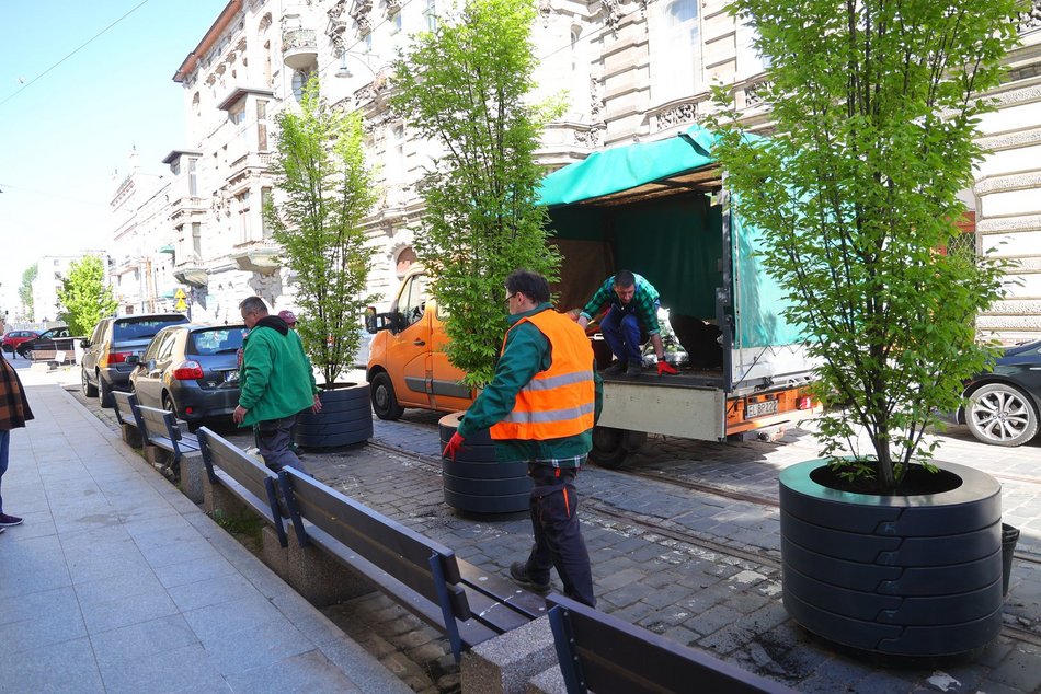 Nowe drzewa przy Zielonej w Łodzi. Zobacz, jak stawiali wielkie donice