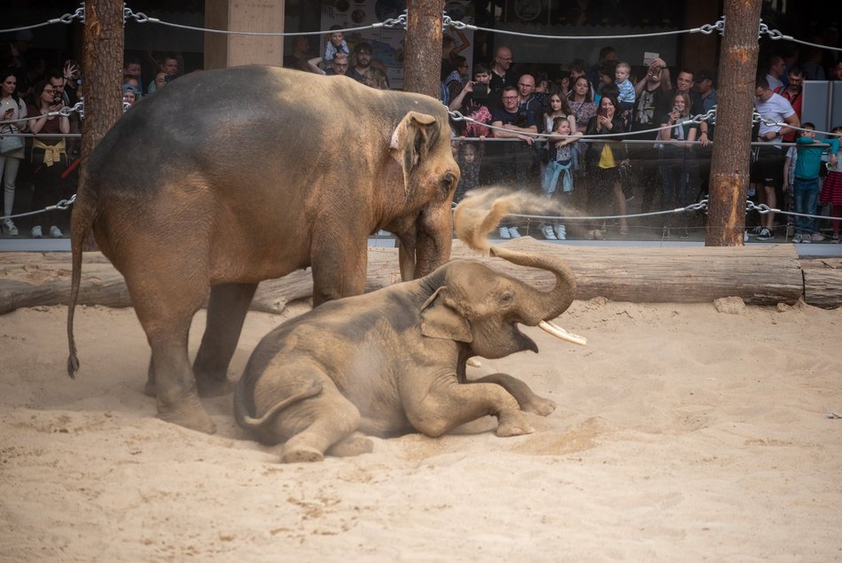  Orientarium Zoo Łódź