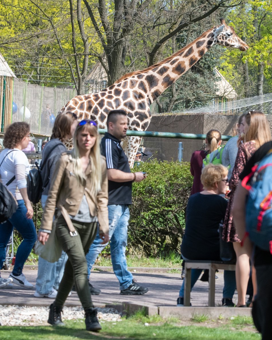  Orientarium Zoo Łódź