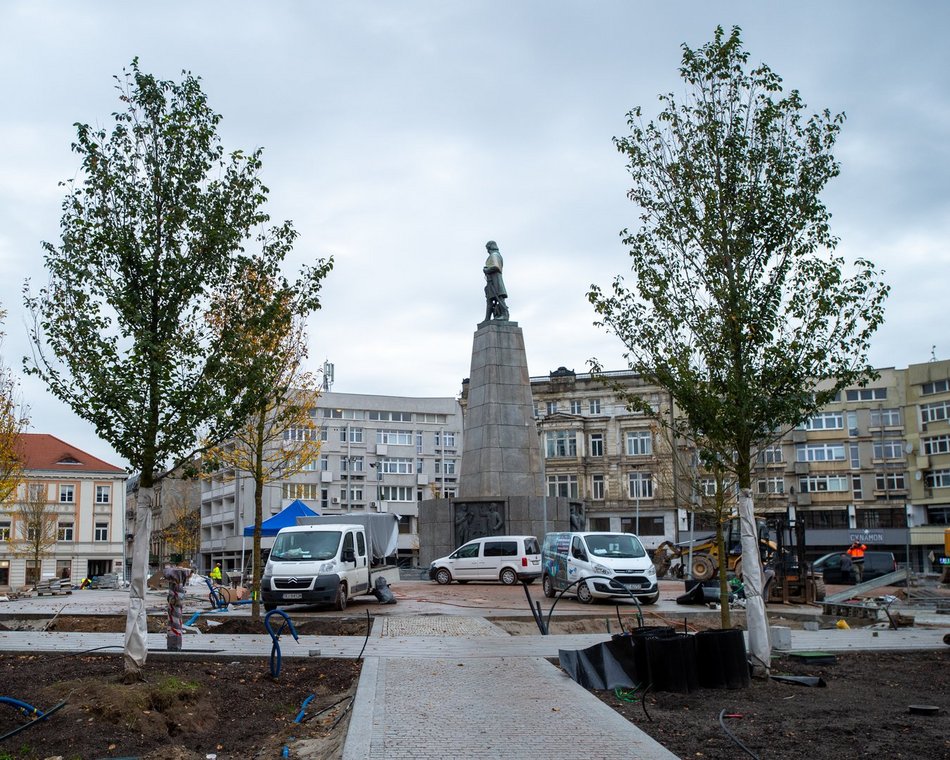 Plac Wolności z kolejnymi drzewami