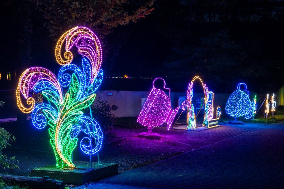 Park Miliona Świateł w Łodzi otwarty! Magiczne zwierzęta opanowały Orientarium Zoo Łódź