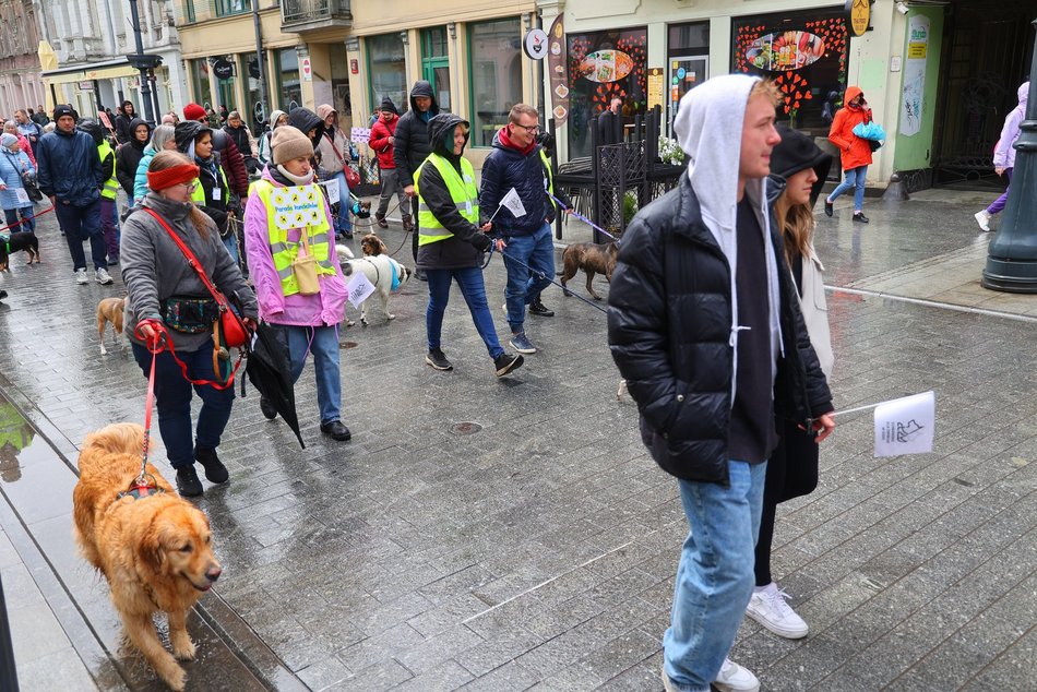 Parada kundelków w Łodzi 2025 przeszła ulicami. Skala słodyczy wysoka jak nigdy!