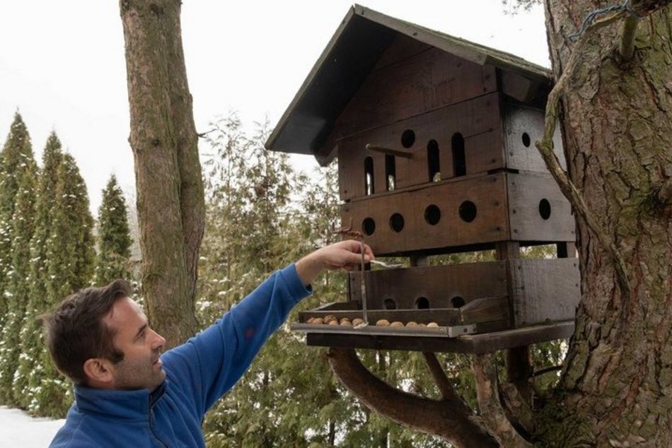 Łódź. Cztery kąty dla wiewiórek i ptaków z Łodzi! Pracownicy ZWiK Łódź zbudowali pomysłowy karminik