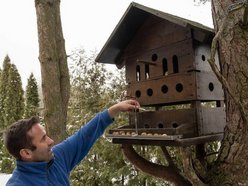 Łódź. Cztery kąty dla wiewiórek i ptaków z Łodzi! Pracownicy ZWiK Łódź zbudowali pomysłowy karminik