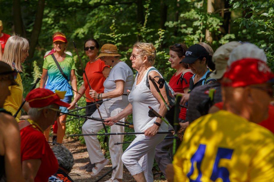 Nordic walking w Arturówku