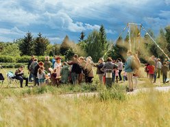 Piknik z okazji letniego przesilenia parku Ocalałych