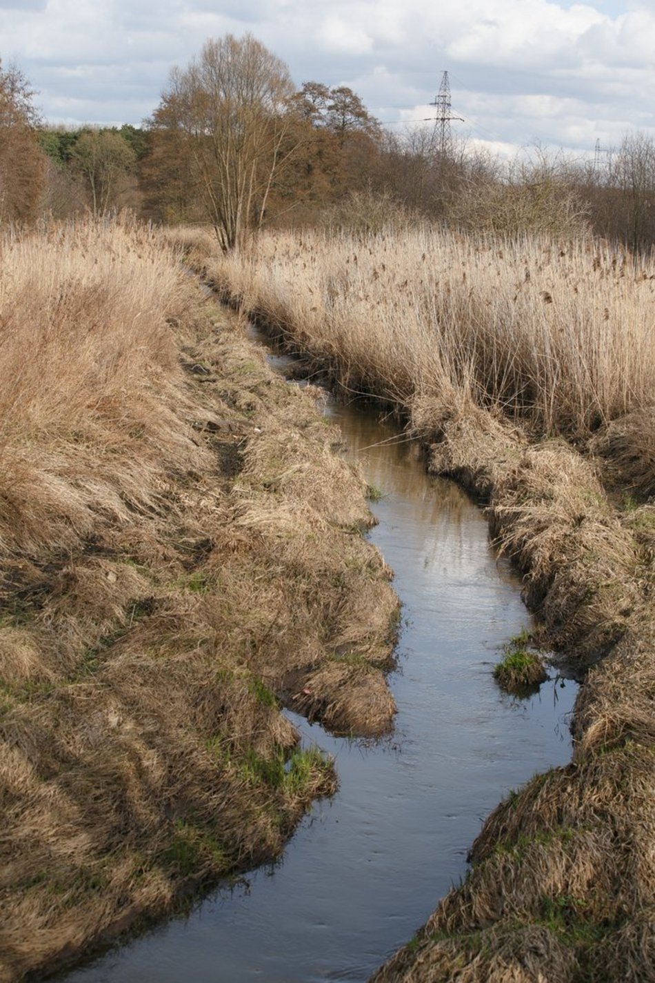 Rzeka Łódka