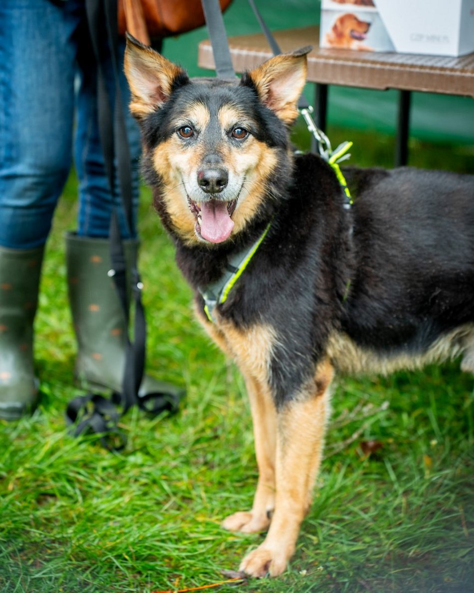 Łódź. Deszcz nikogo nie wystraszył! Piknik z Budżetem Obywatelskim Łódź