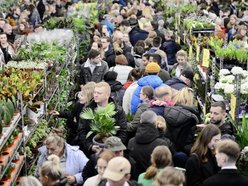 Festiwal Roślin w EC1 Łódź. Zobacz, jakie okazy możesz tu upolować. Jeszcze zdążysz!