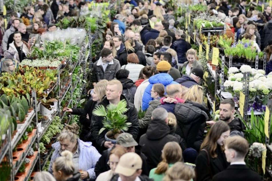 Festiwal Roślin w EC1 Łódź. Zobacz, jakie okazy możesz tu upolować. Jeszcze zdążysz!