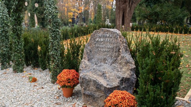 Ekocmentarz w Łodzi. Jak wygląda pochówek w tej części Starego Cmentarza?