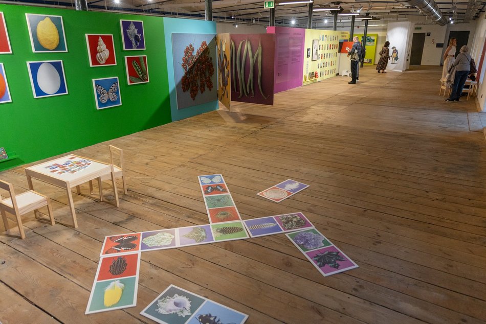 Łódź. Fotofestiwal 2025 w Łodzi rozpoczęty. Tłumy na inauguracji