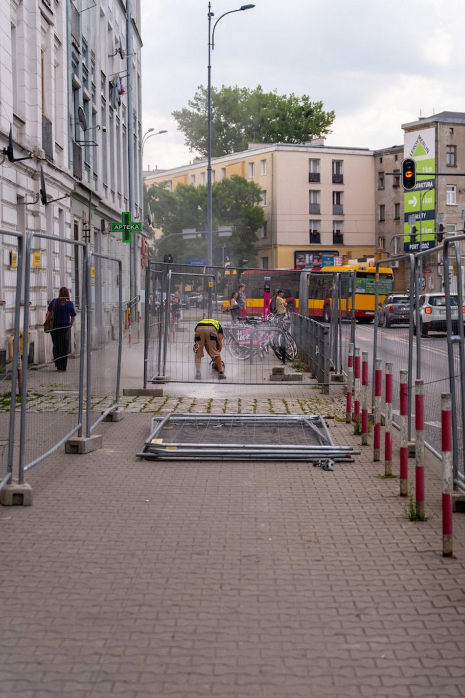 Łódź. Był beton, będą rośliny! Lutomierska w Łodzi zazieleni się na naszych oczach