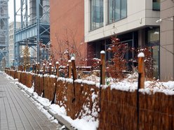 Łódź. A co to za chochoły? Zimowe wiązanie traw ozdobnych w Łodzi jest potrzebne