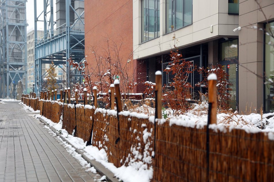 Łódź. A co to za chochoły? Zimowe wiązanie traw ozdobnych w Łodzi jest potrzebne