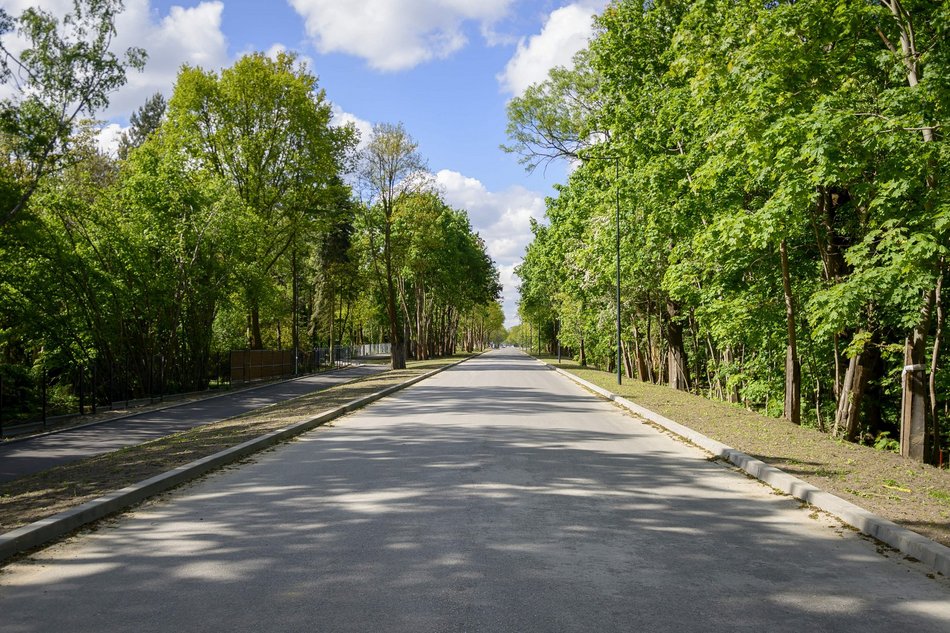 Łódź. Szczecińska w Łodzi rozkwita! Blisko 200 drzew poprawi jakość powietrza i estetykę