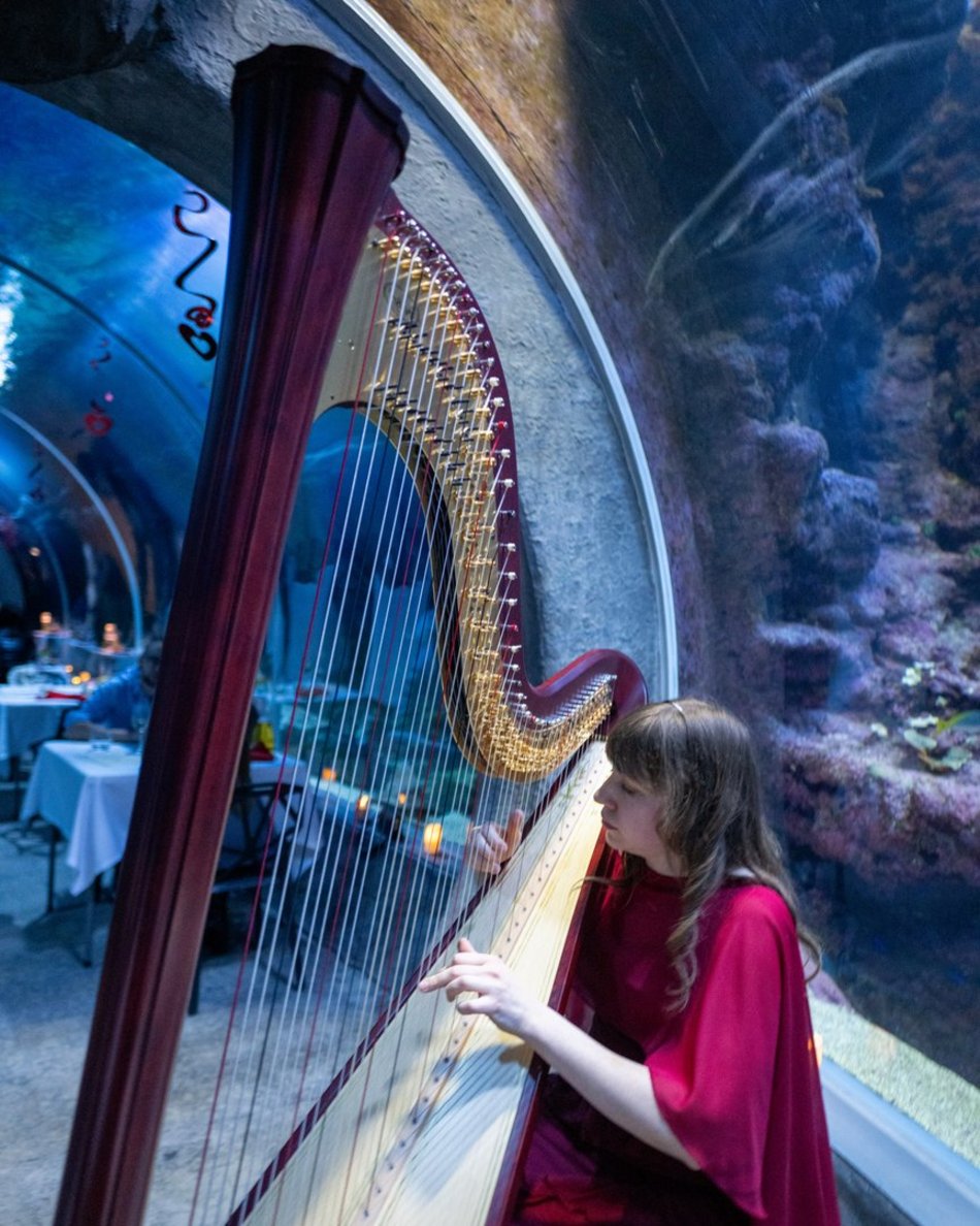 Łódź. Walentynki w Orientarium Zoo Łódź. Przysmaki, koncert na harfie i... zaręczyny