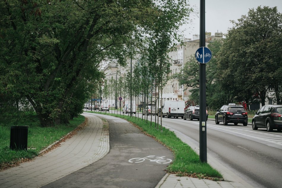 Łódź. Kilkaset nowych drzew przy Wojska Polskiego w Łodzi. Ulica zmienia się w zielony trakt