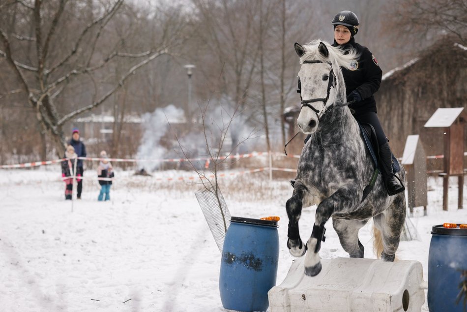 Łódź. Straż Miejska świętuje WOŚP 2026 w Łodzi! Jazda konna, gry i zabawy przy Wycieczkowej