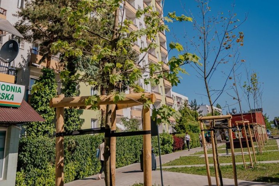 Olechów ma nowy skwer