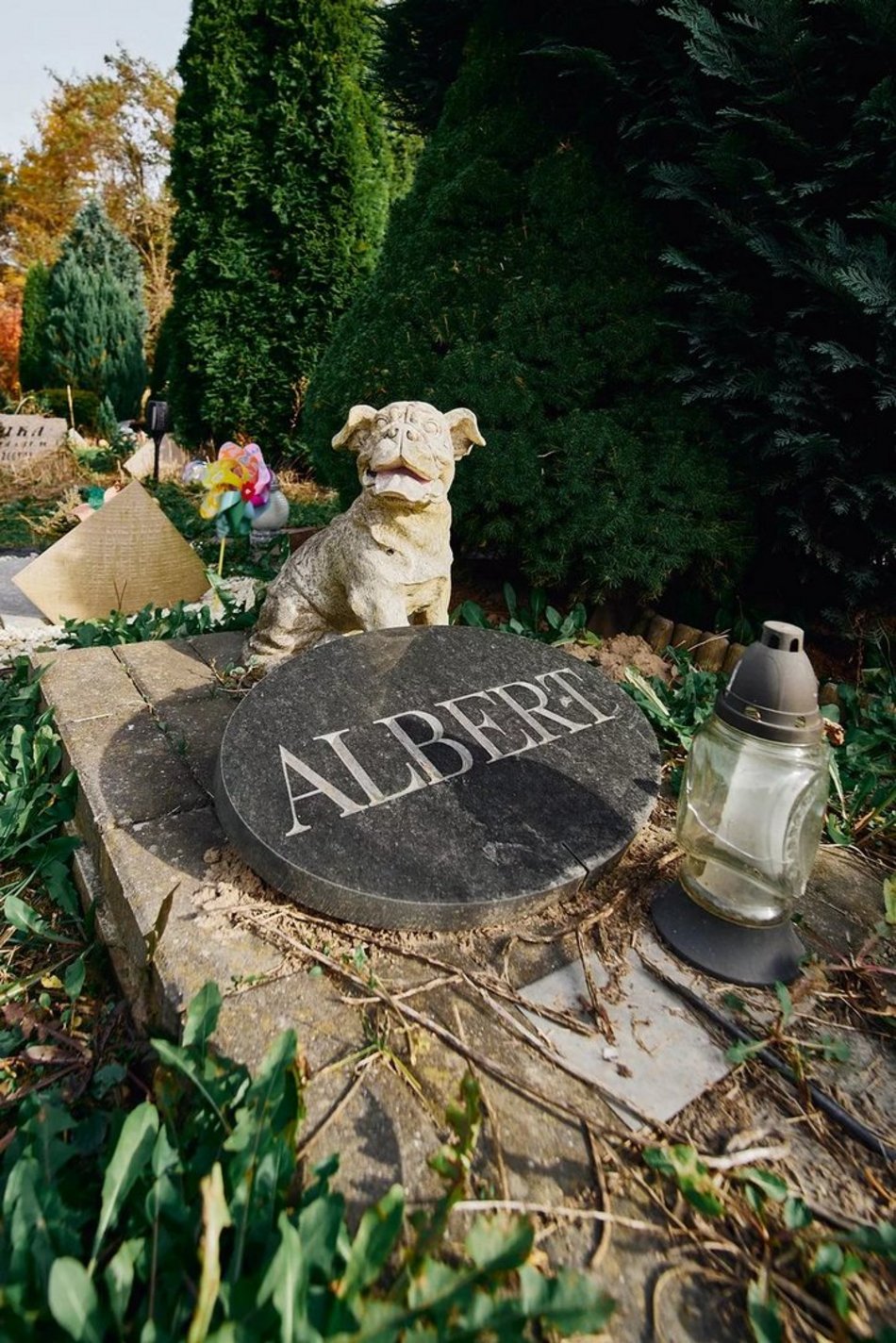 Cmentarz dla zwierząt w Łodzi