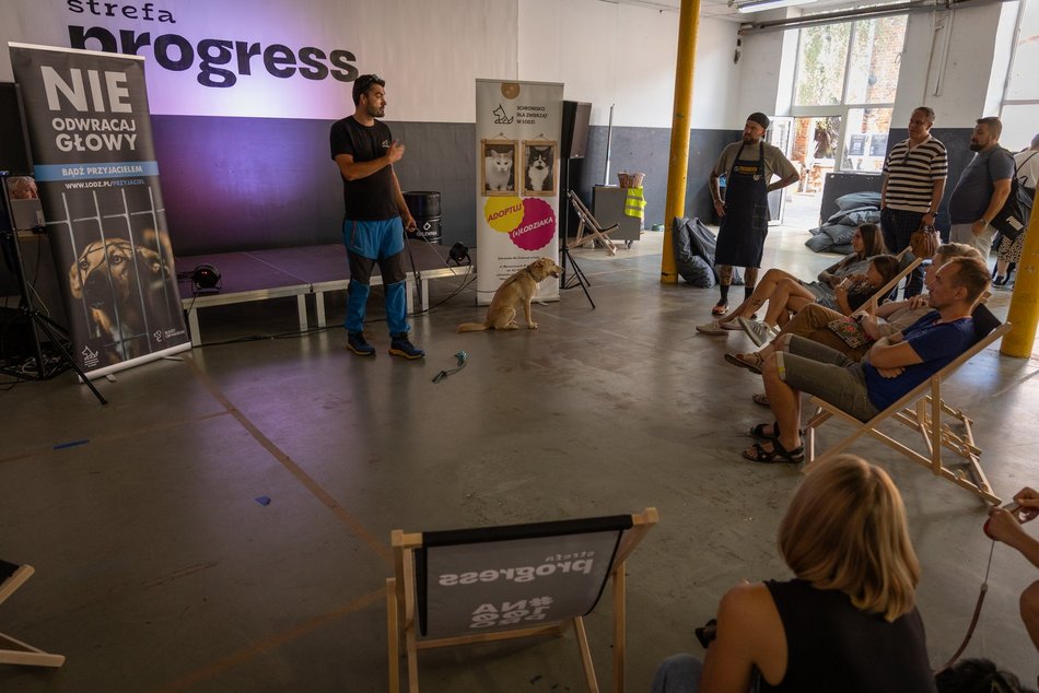 Łódź. Gastro dla schroniska w Łodzi. Tak się łączy miłość do jedzenia, muzyki i zwierząt!