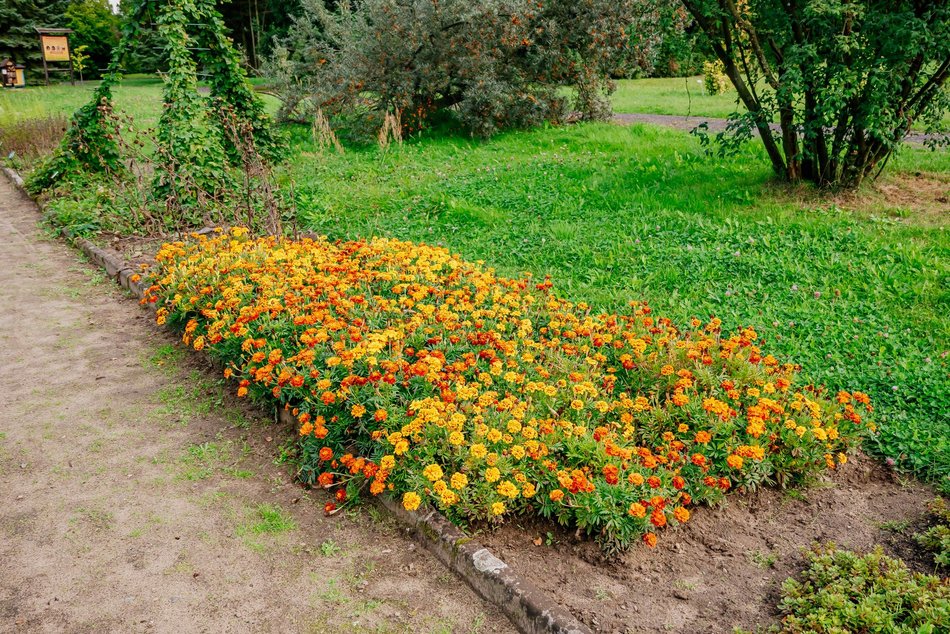 Łódź. Jesień w Ogrodzie Botanicznym w Łodzi. Tam z pewnością pokochasz tę porę roku!